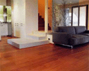 Rénovation des sols